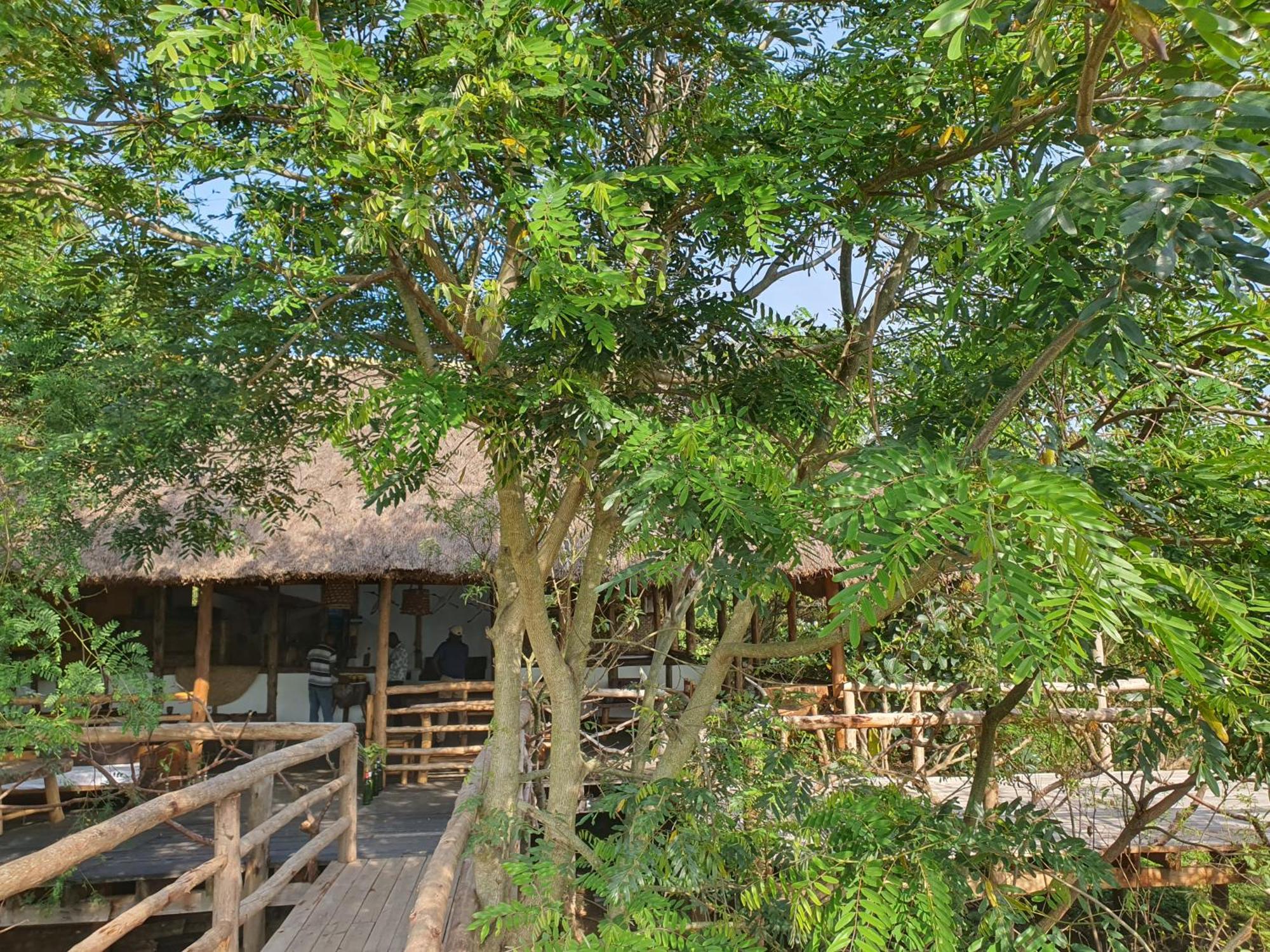 Topi Lodge Katunguru Exterior foto